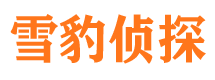 呼玛市侦探调查公司